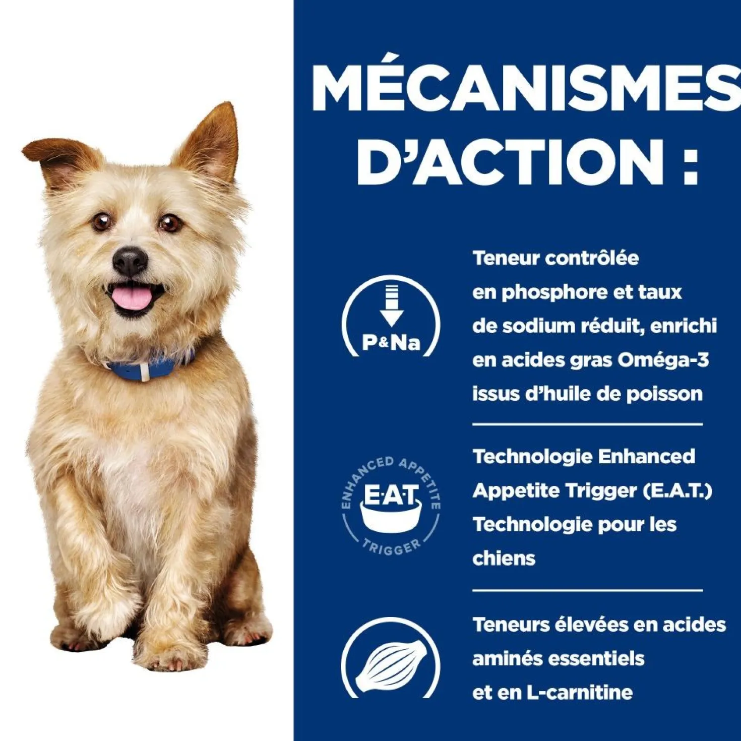 Hill's Prescription Diet k/d Kidney Care en mijotés au poulet - pâtée chien
