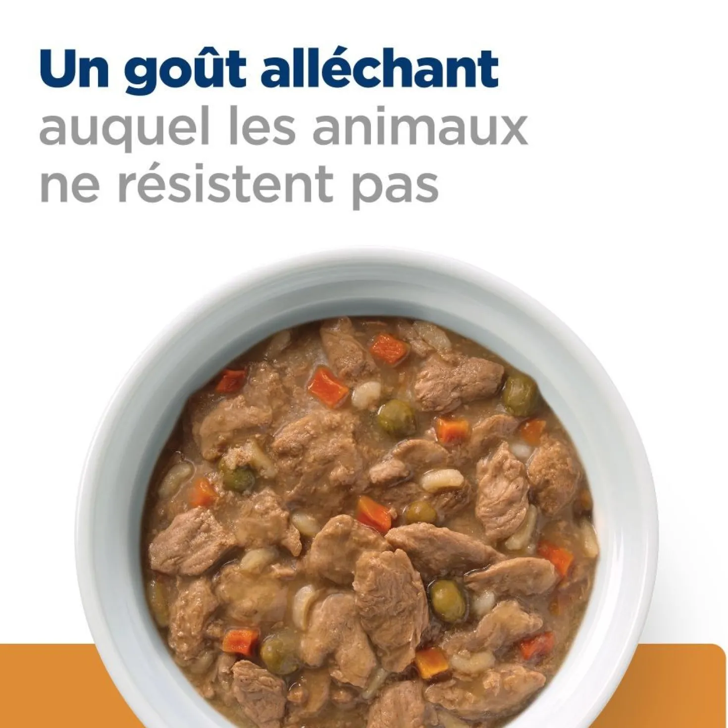 Hill's Prescription Diet k/d Kidney Care en mijotés au poulet - pâtée chien