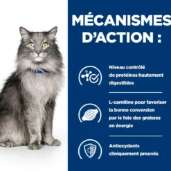HILL'S Prescription Diet l/d Liver Care au Poulet - Croquettes pour chat