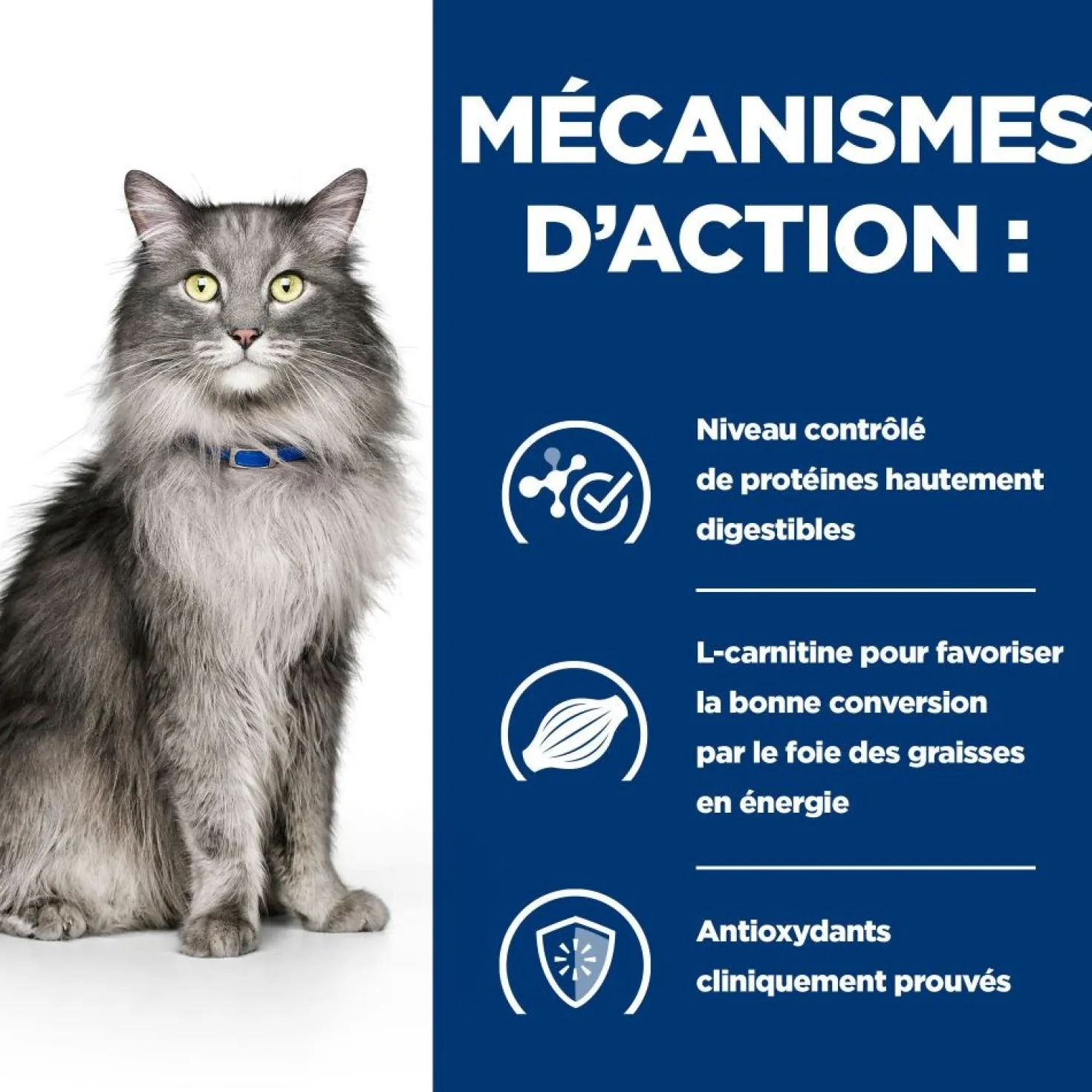 HILL'S Prescription Diet l/d Liver Care au Poulet - Croquettes pour chat