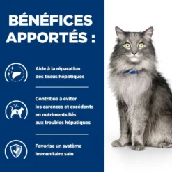 HILL'S Prescription Diet l/d Liver Care au Poulet - Croquettes pour chat
