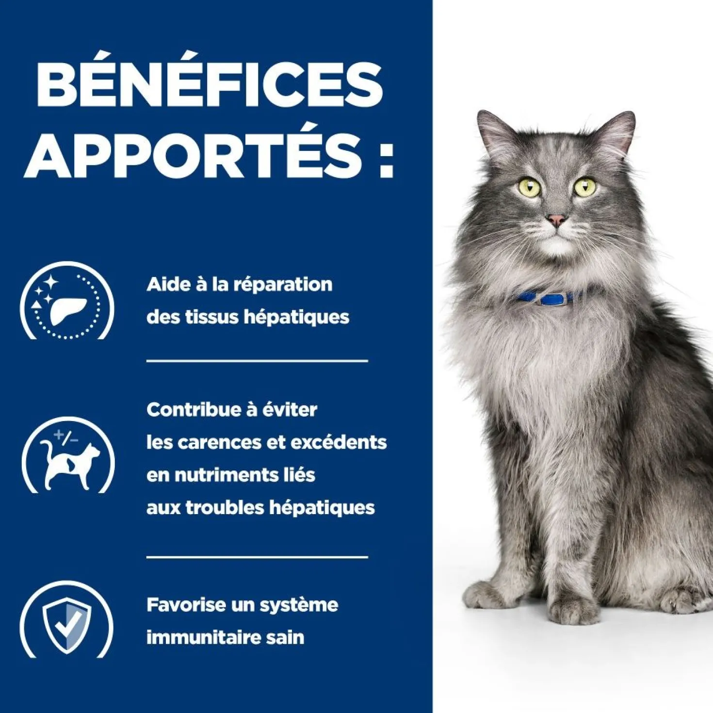 HILL'S Prescription Diet l/d Liver Care au Poulet - Croquettes pour chat