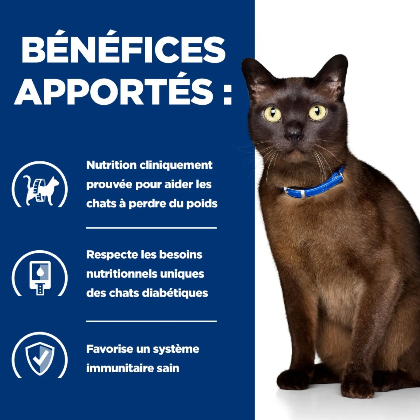 Hill's Prescription Diet m/d Diabetes Care au poulet - croquettes chat