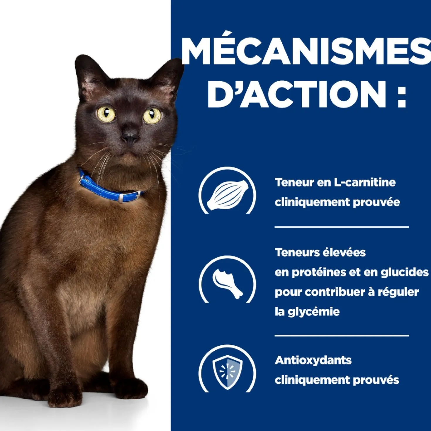 Hill's Prescription Diet m/d Diabetes Care au poulet - croquettes chat
