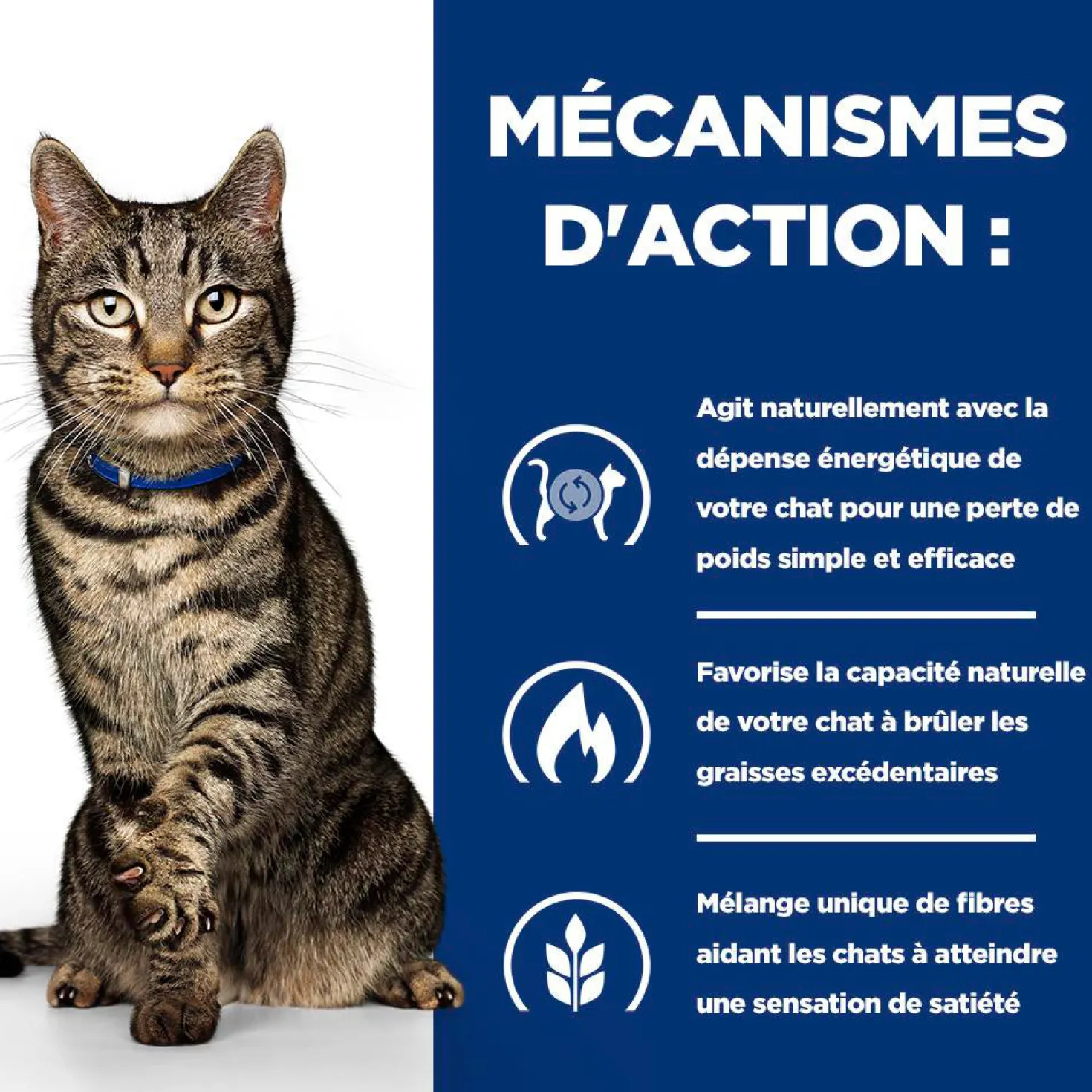 Hill's Prescription Diet Metabolic au poulet - croquettes chat