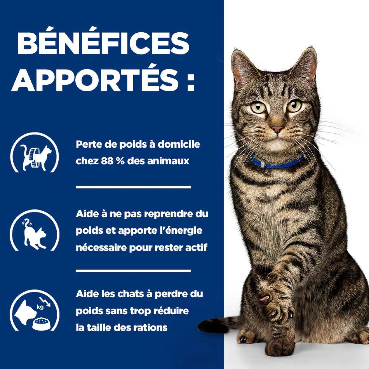 Hill's Prescription Diet Metabolic au poulet - croquettes chat