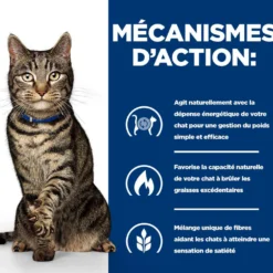 Hill's Prescription Diet Metabolic au saumon - croquettes chat