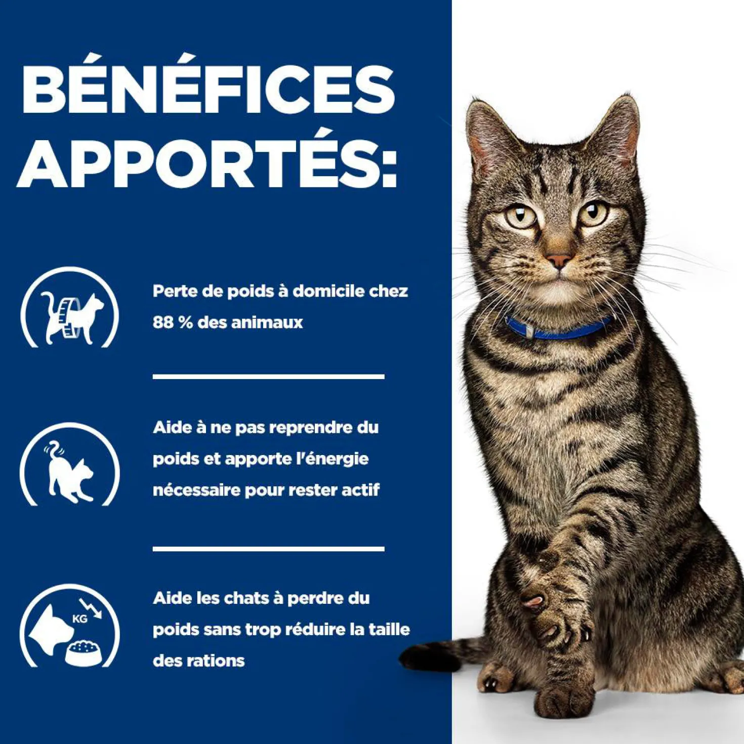 Hill's Prescription Diet Metabolic au saumon - croquettes chat