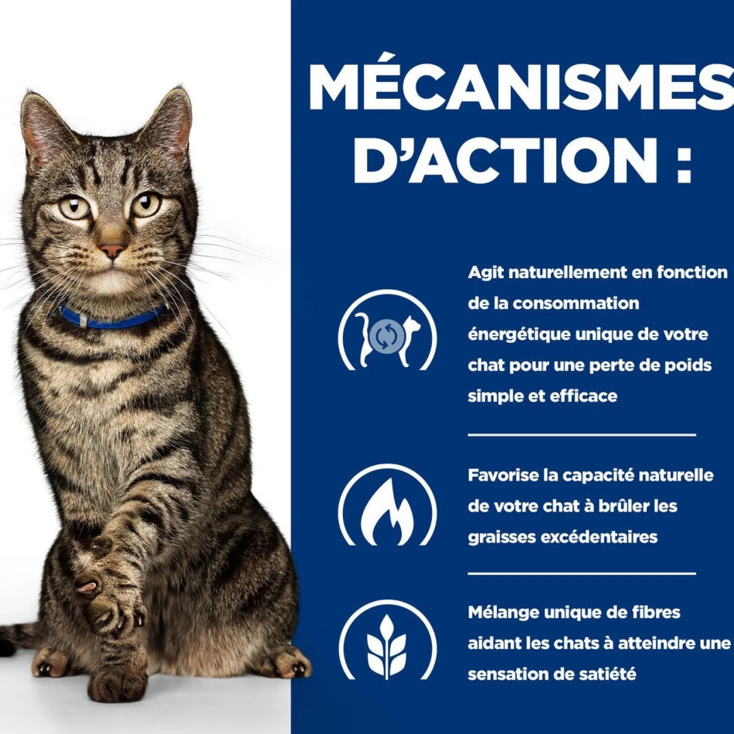 Hill's Prescription Diet Metabolic en mijotés au poulet - pâtée pour chat