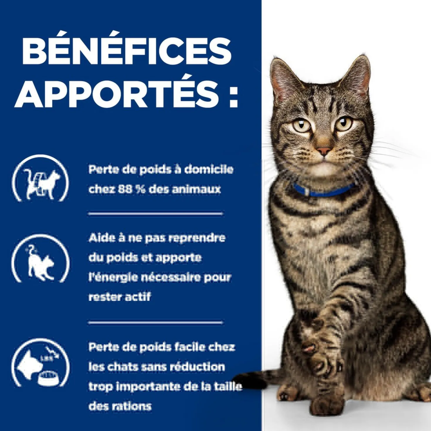 Hill's Prescription Diet Metabolic en mijotés au poulet - pâtée pour chat