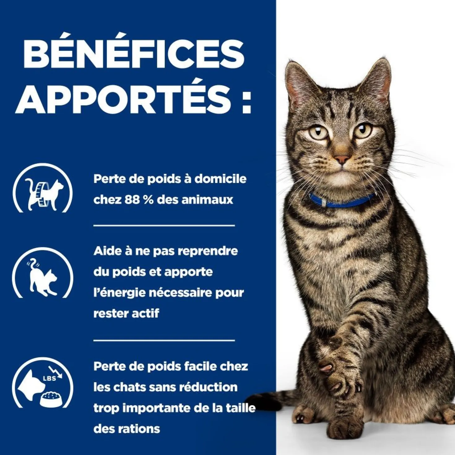 Hill's Prescription Diet Metabolic en sachets au poulet - pâtée chat