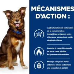 Hill's Prescription Diet Metabolic au poulet - croquettes chien