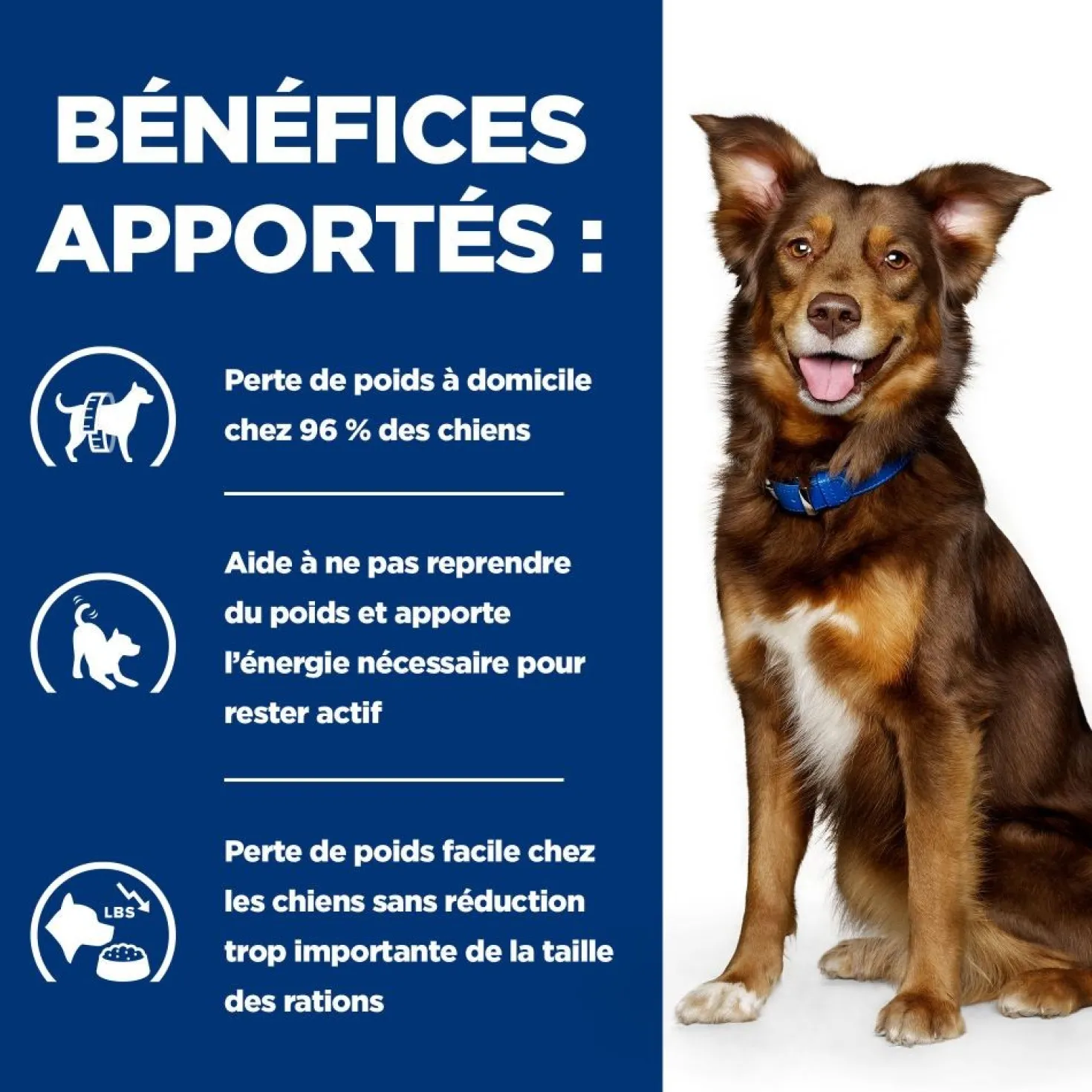 Hill's Prescription Diet Metabolic au poulet - croquettes chien