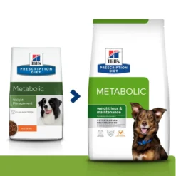 Hill's Prescription Diet Metabolic au poulet - croquettes chien