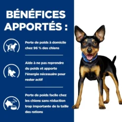 Hill's Prescription Diet Metabolic Mini au poulet - croquettes chien