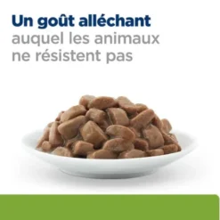 HILL'S Prescription Diet pâté pour Chat j/d Metabolic + Mobility Poulet 12x85 g
