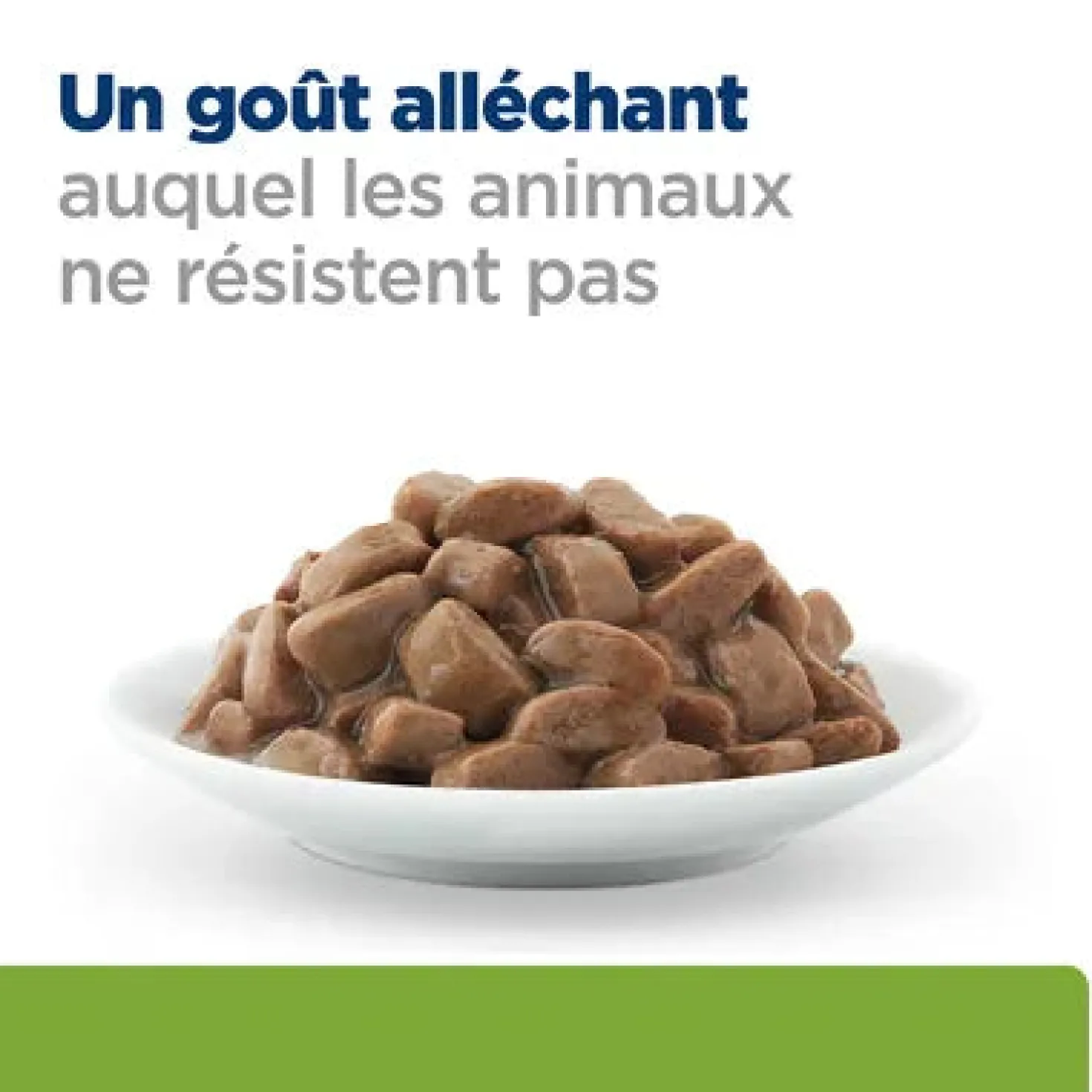 HILL'S Prescription Diet pâté pour Chat j/d Metabolic + Mobility Poulet 12x85 g