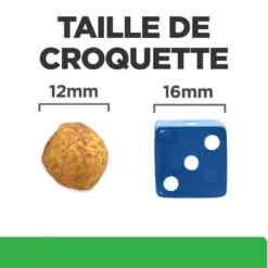 Hill's Prescription Diet r/d Weight Loss au poulet - croquettes chien