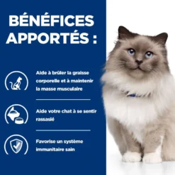 Hill's Prescription Diet r/d Weight Loss au poulet - croquettes chat