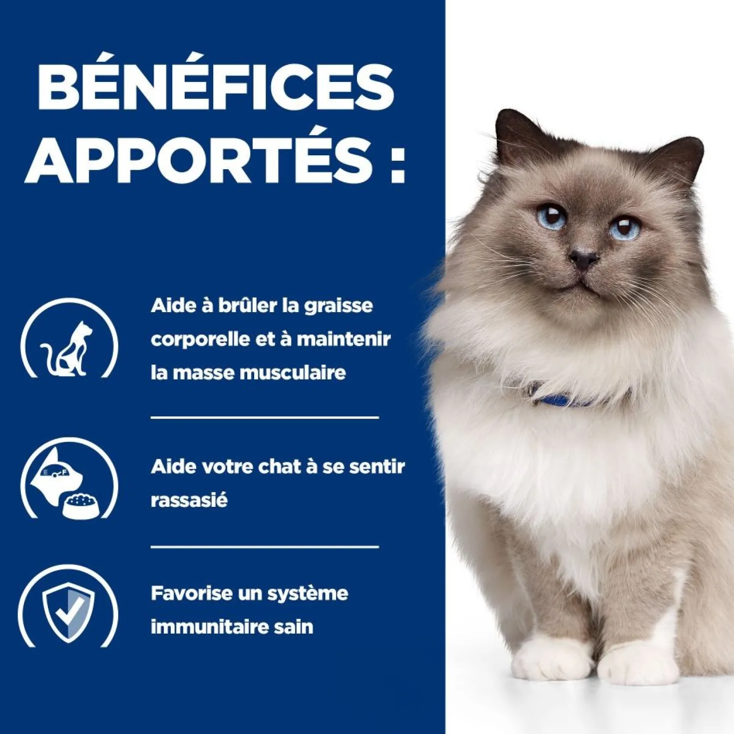 Hill's Prescription Diet r/d Weight Loss au poulet - croquettes chat