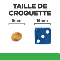 Hill's Prescription Diet r/d Weight Loss au poulet - croquettes chat