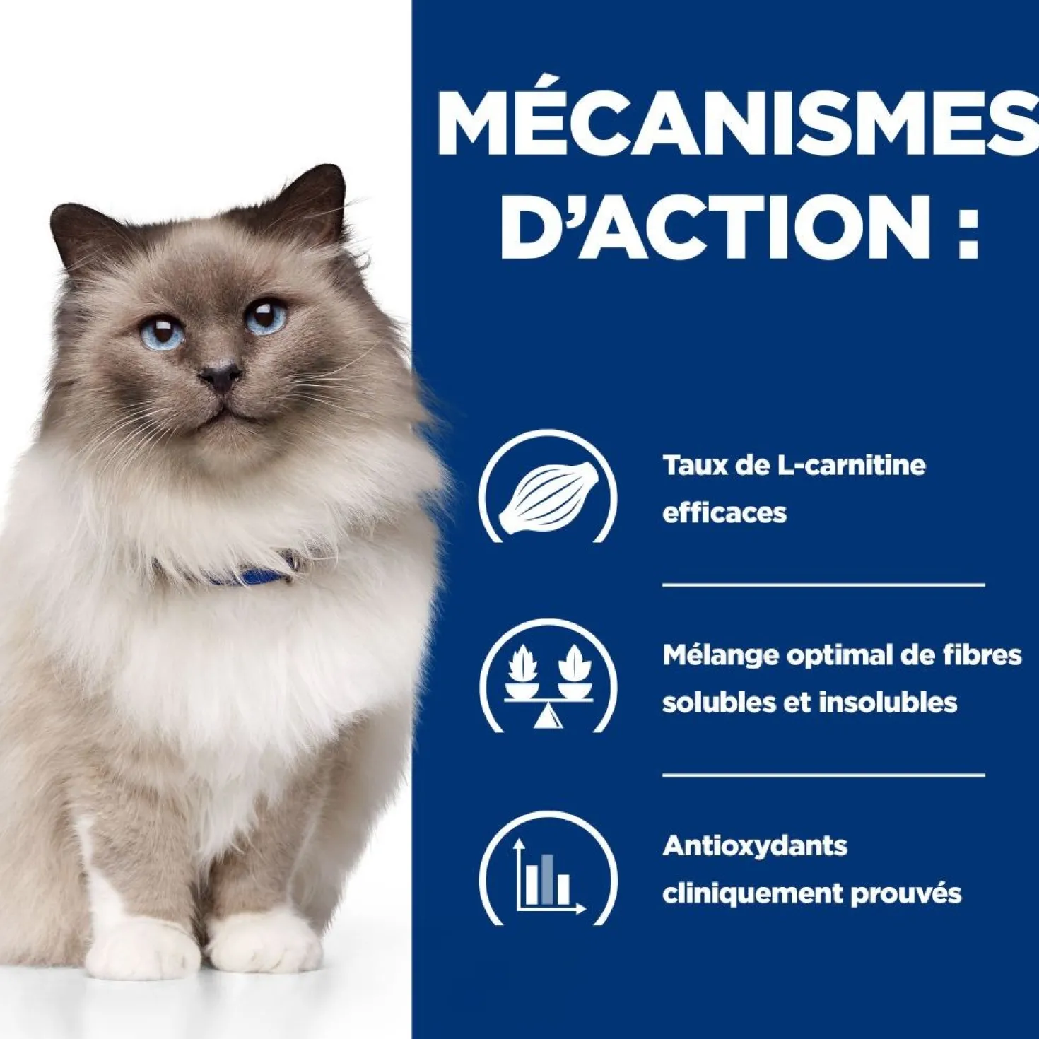 Hill's Prescription Diet r/d Weight Loss au poulet - croquettes chat