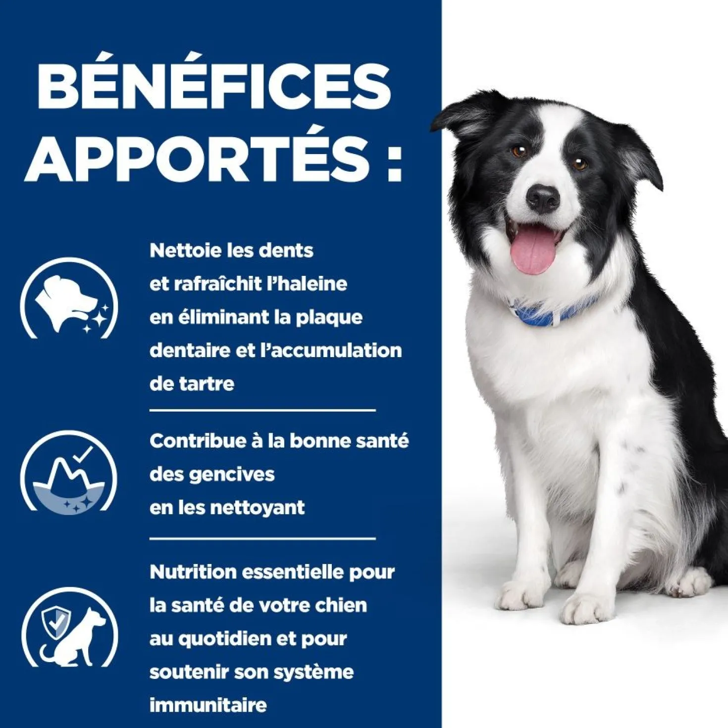 HILL'S Prescription Diet t/d Dental Care au Poulet - Croquettes pour chien