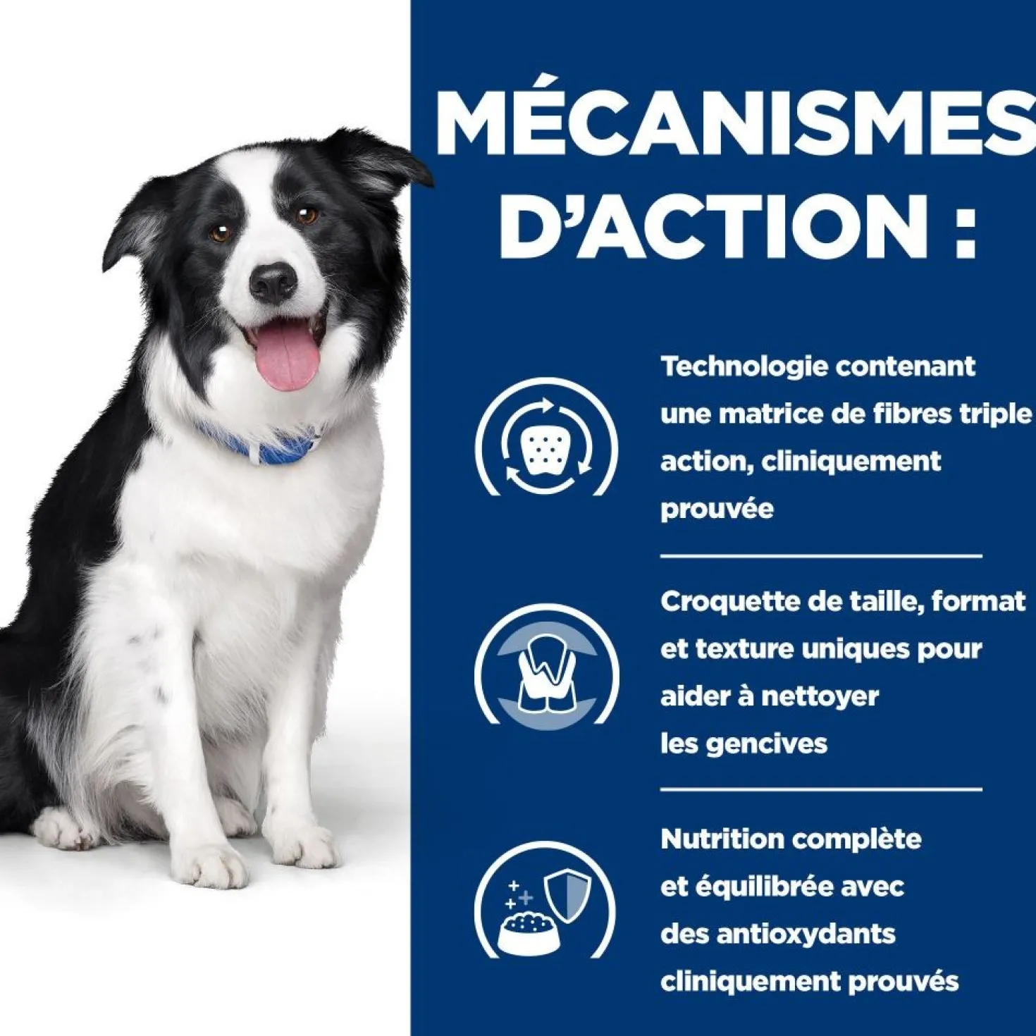 HILL'S Prescription Diet t/d Dental Care au Poulet - Croquettes pour chien