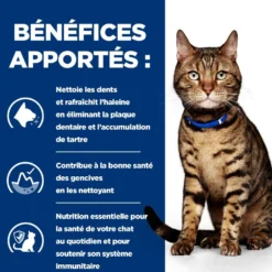 Hill's Prescription Diet t/d Dental Care au poulet - croquettes chat