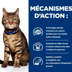 Hill's Prescription Diet t/d Dental Care au poulet - croquettes chat