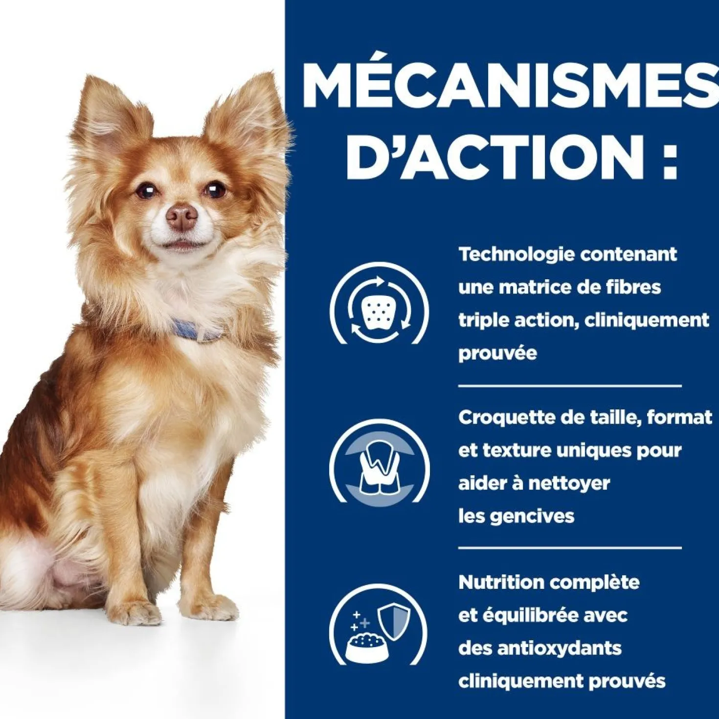 Hill's Prescription Diet t/d Dental Care Mini au poulet - croquettes chien