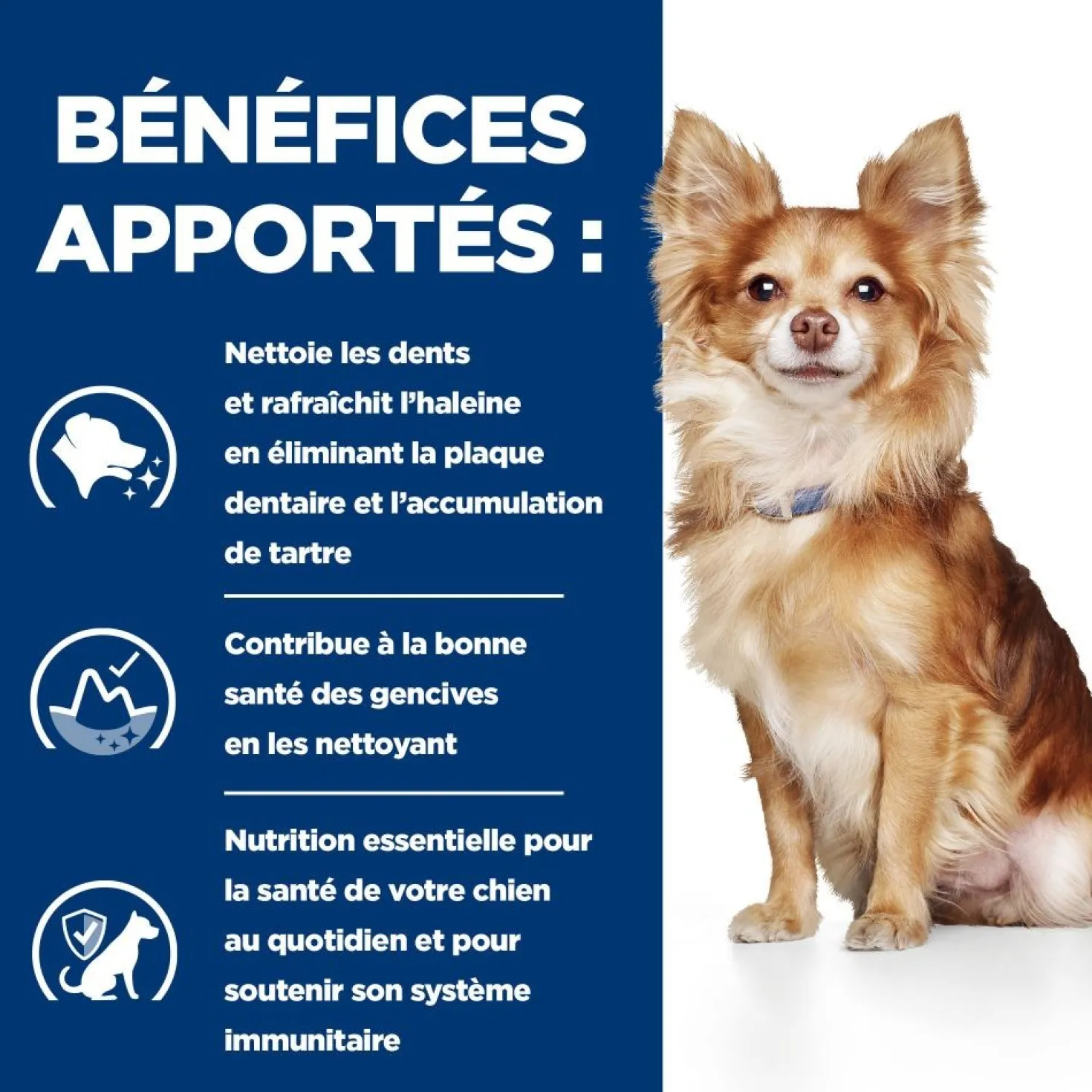 Hill's Prescription Diet t/d Dental Care Mini au poulet - croquettes chien