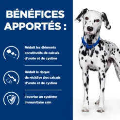 Hill's Prescription Diet u/d Urinary Care - croquettes chien