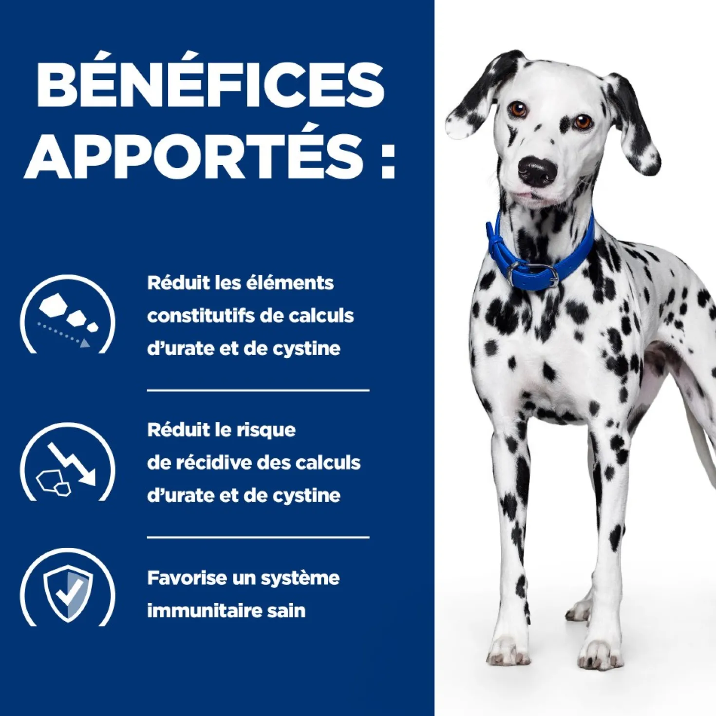 Hill's Prescription Diet u/d Urinary Care - croquettes chien