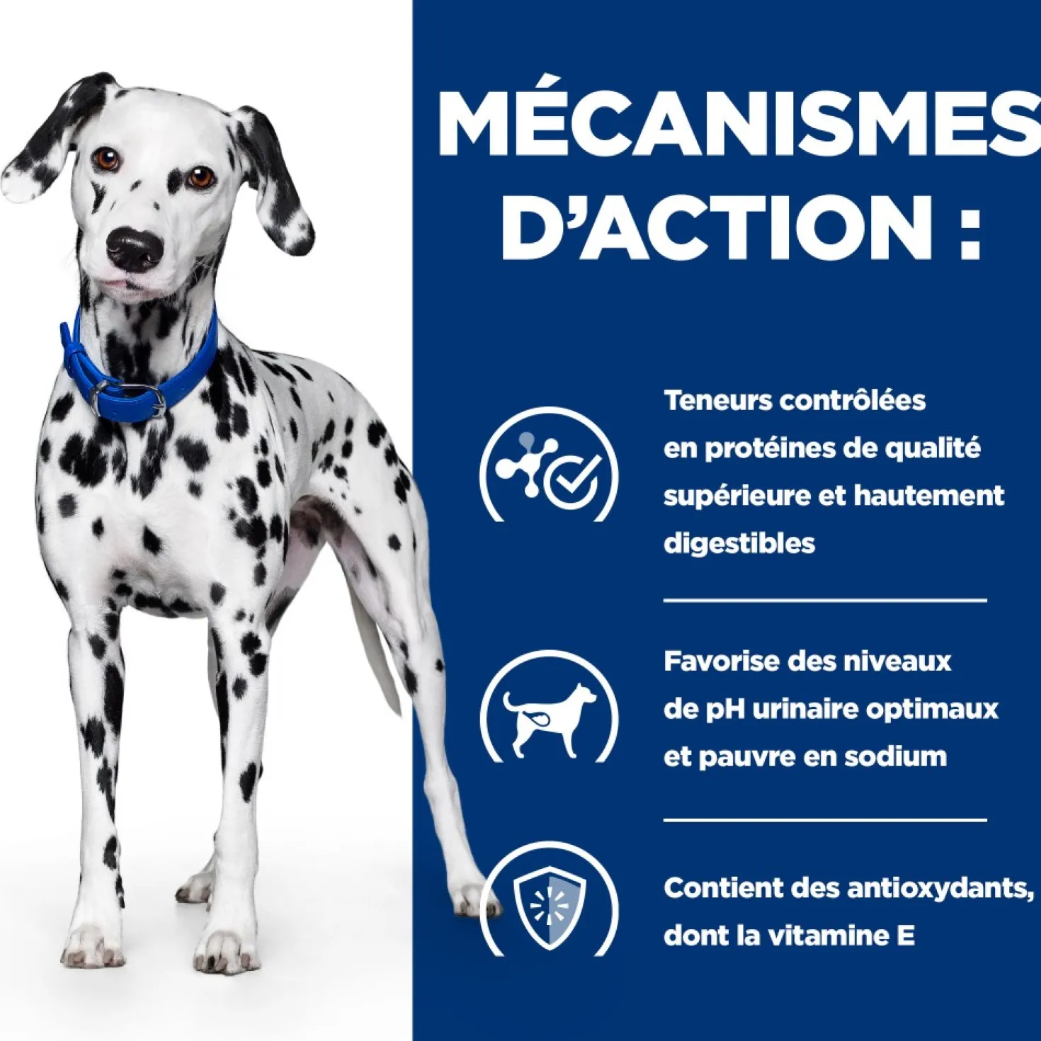 Hill's Prescription Diet u/d Urinary Care - croquettes chien