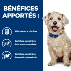 Hill's Prescription Diet w/d Diabetes Care au poulet - croquettes chien