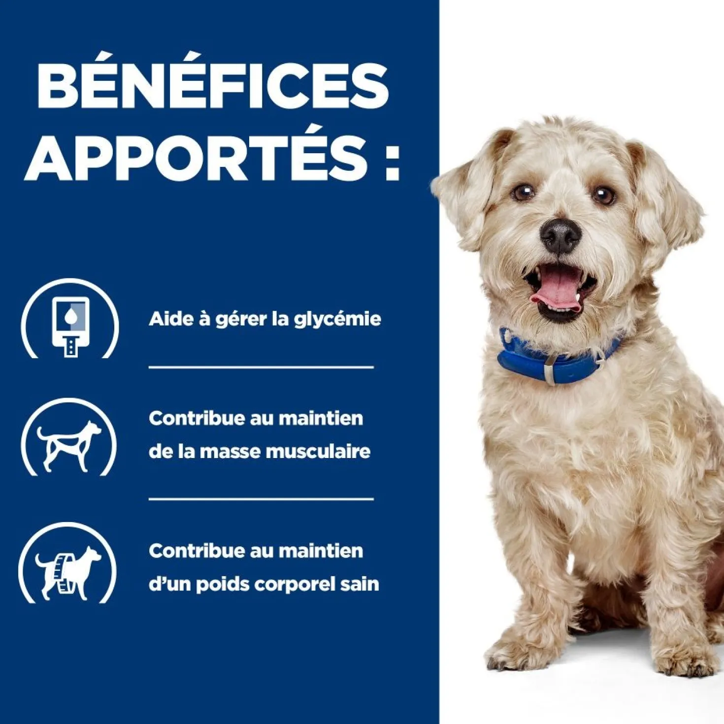 Hill's Prescription Diet w/d Diabetes Care au poulet - croquettes chien