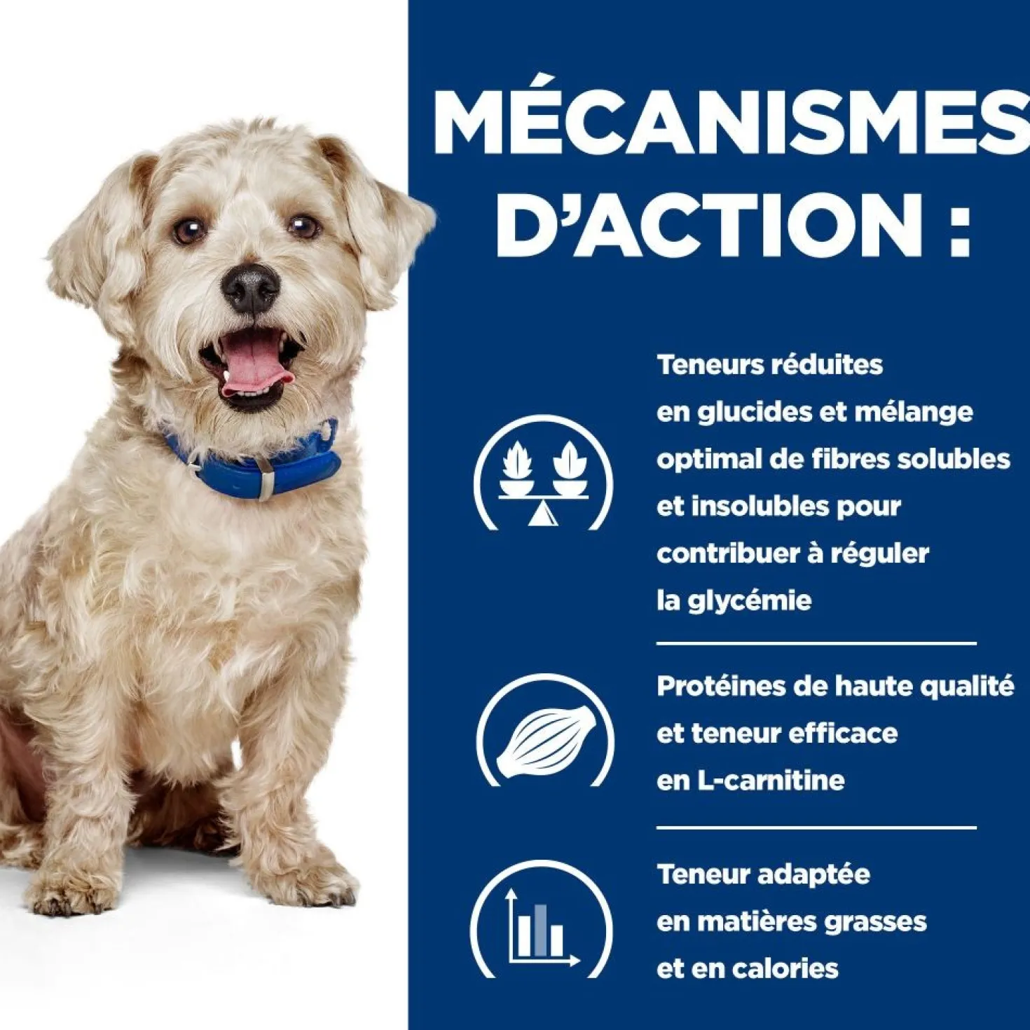 Hill's Prescription Diet w/d Diabetes Care au poulet - croquettes chien