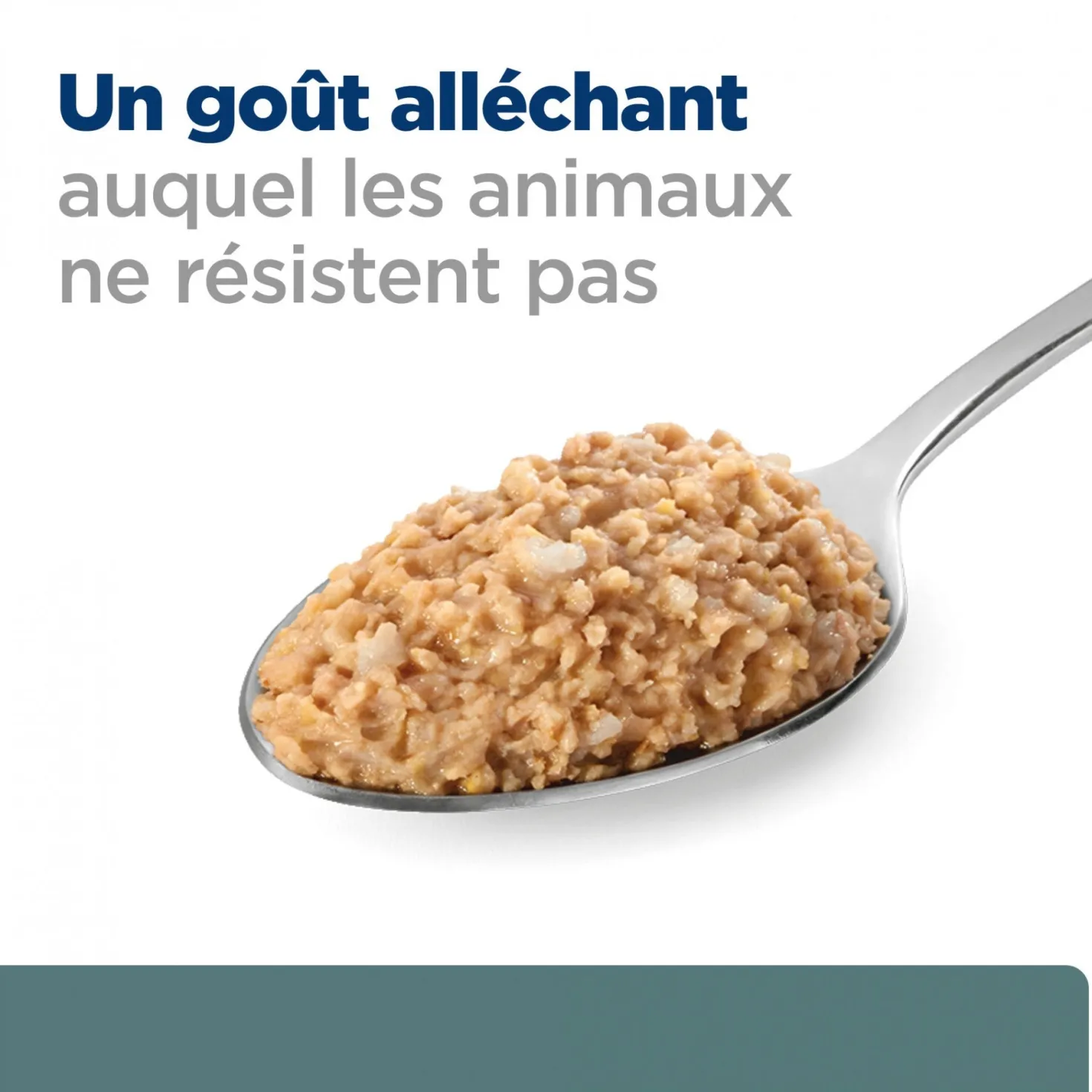 HILL’S Prescription Diet w/d Diabetes Care en Boîtes au Poulet – Pâtée pour chien