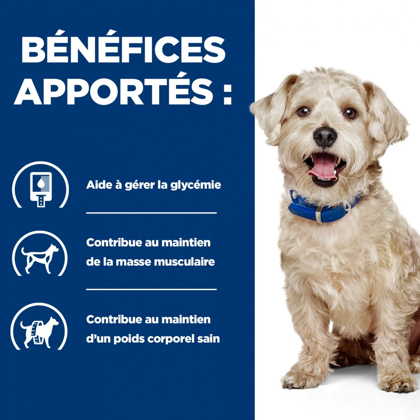 HILL’S Prescription Diet w/d Diabetes Care en Boîtes au Poulet – Pâtée pour chien