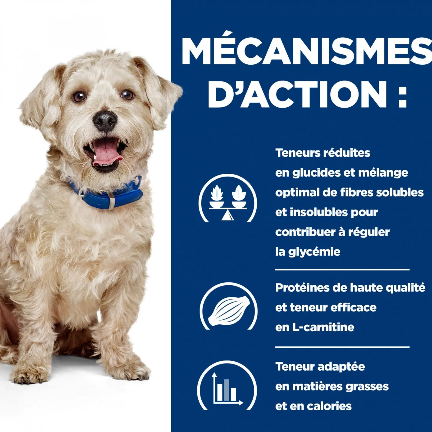 HILL’S Prescription Diet w/d Diabetes Care en Boîtes au Poulet – Pâtée pour chien