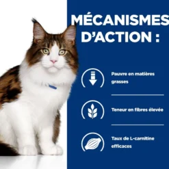 Hill's Prescription Diet w/d Multi Benefit au poulet - croquettes chat