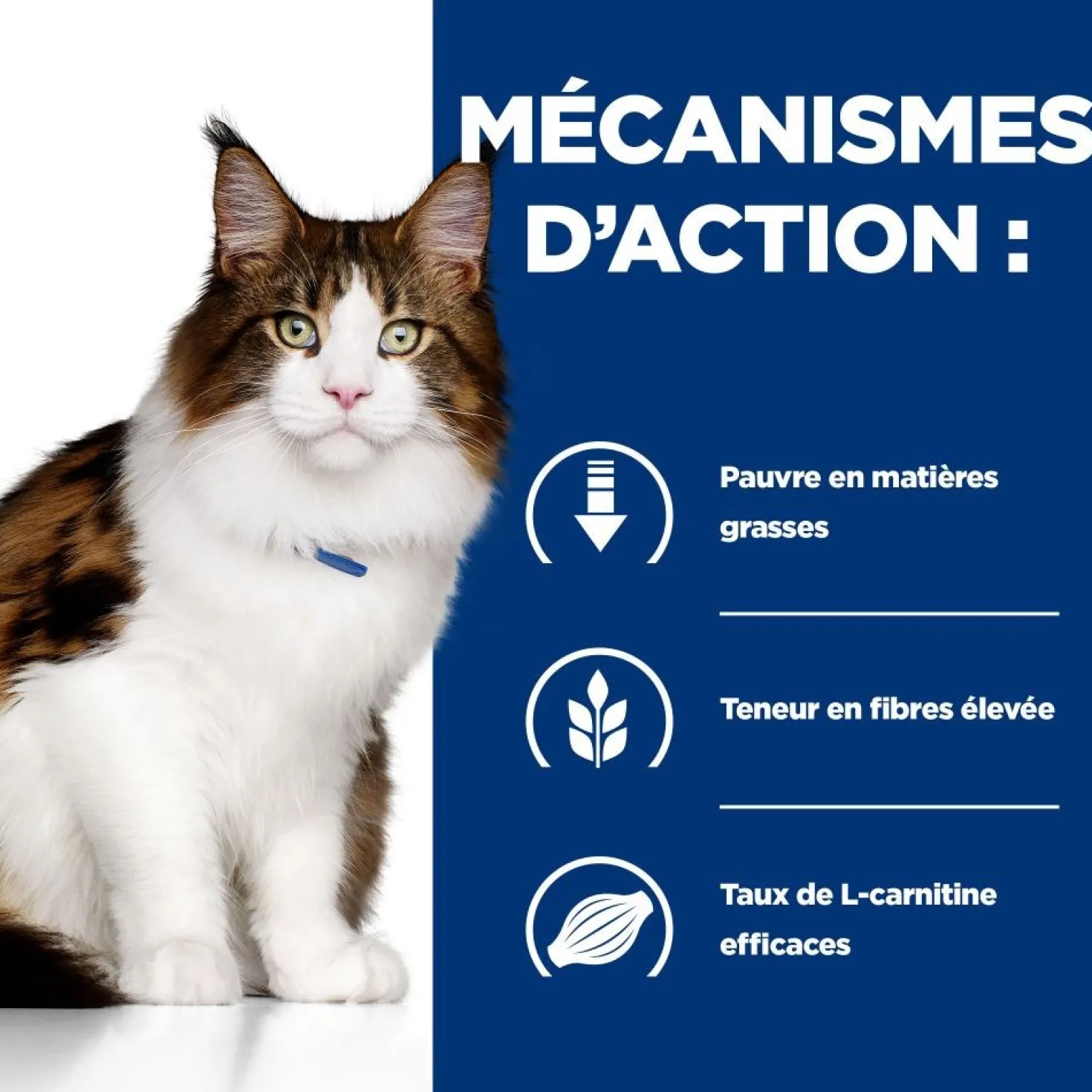 Hill's Prescription Diet w/d Multi Benefit au poulet - croquettes chat