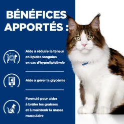 Hill's Prescription Diet w/d Mutli-Benefit en sachets au poulet – pâtée chat