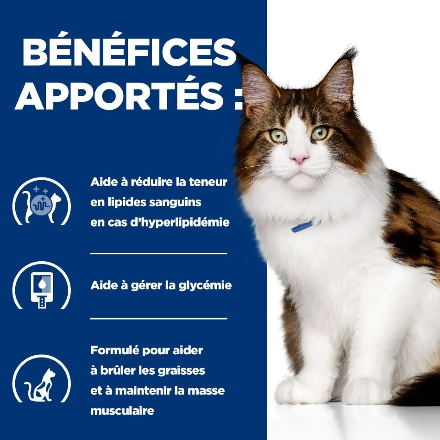 Hill's Prescription Diet w/d Mutli-Benefit en sachets au poulet – pâtée chat