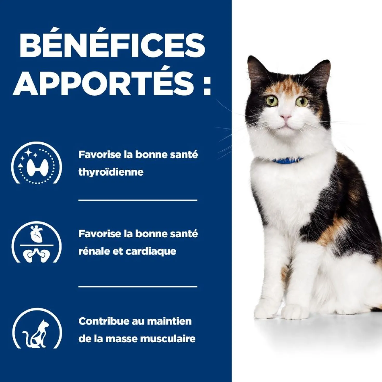 Hill's Prescription Diet y/d Thyroid Care - croquettes chat