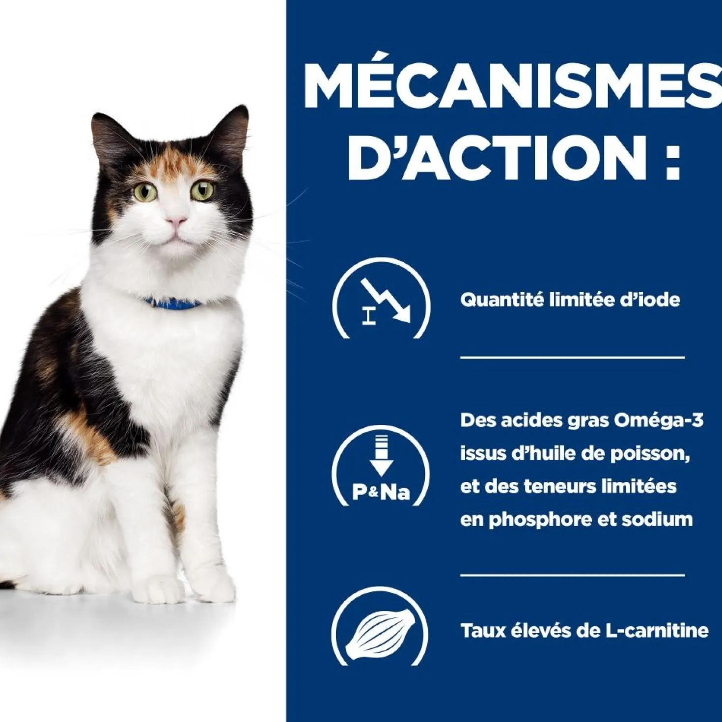 Hill's Prescription Diet y/d Thyroid Care - croquettes chat