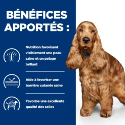 Hill's Prescription Diet z/d Food Sensitivities - croquettes chien