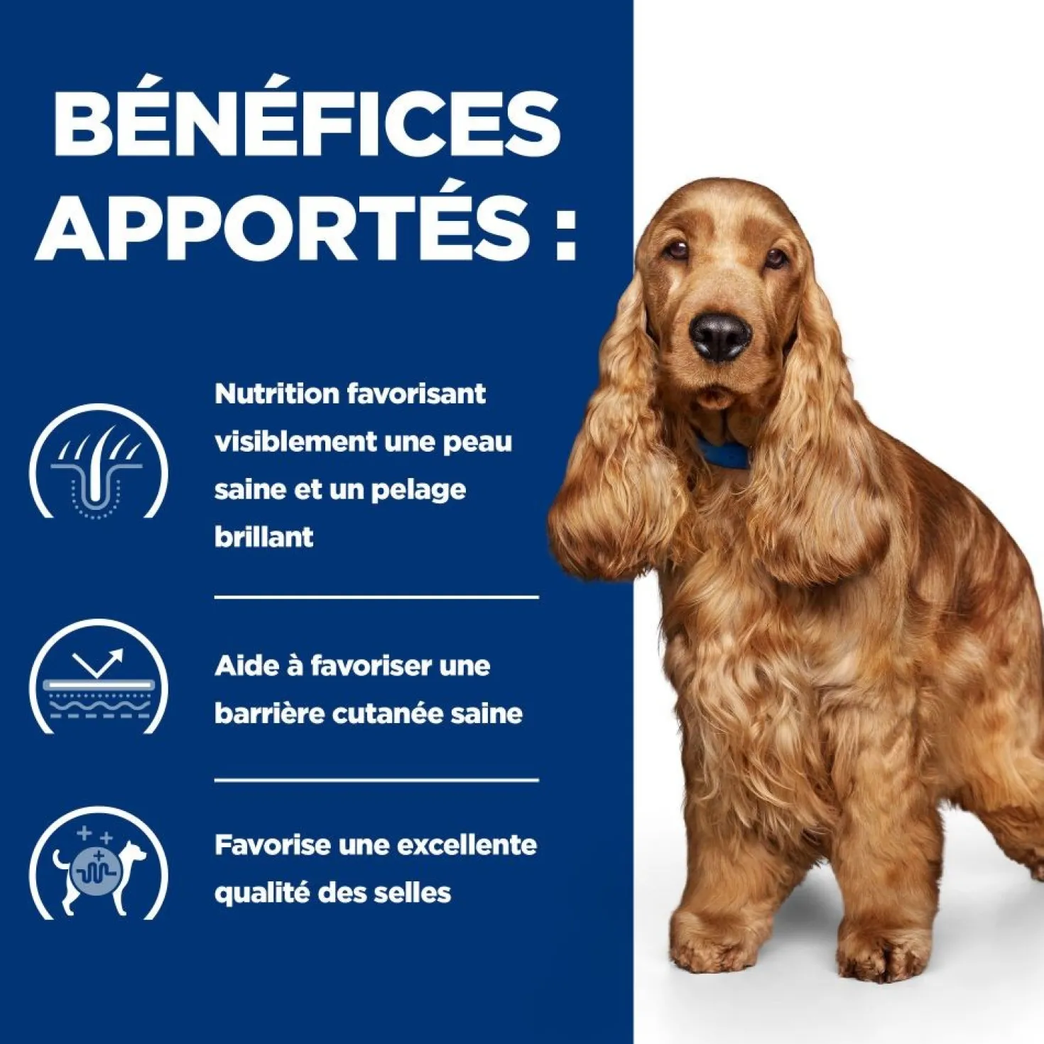 Hill's Prescription Diet z/d Food Sensitivities - croquettes chien