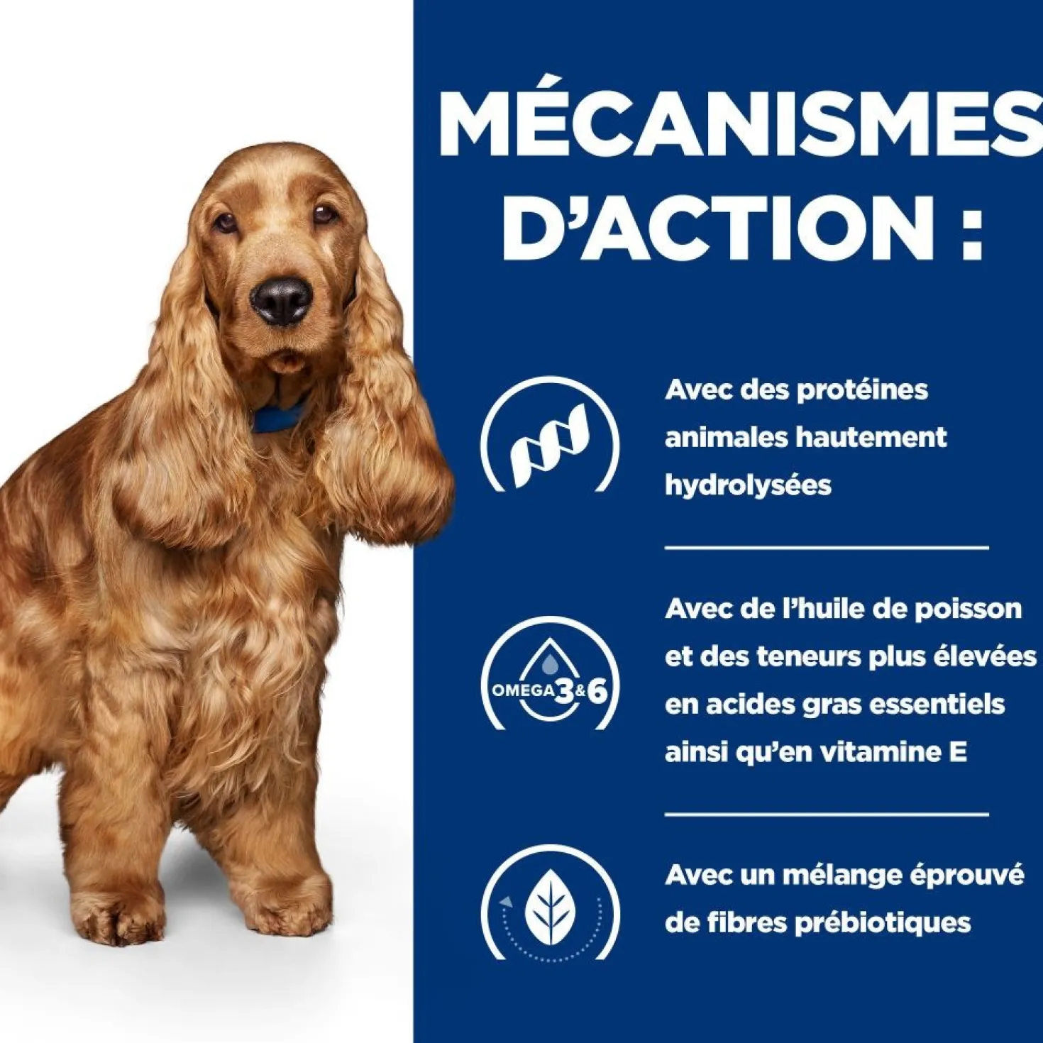 Hill's Prescription Diet z/d Food Sensitivities - croquettes chien